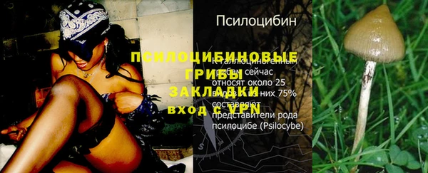 MDMA Premium VHQ Пролетарск